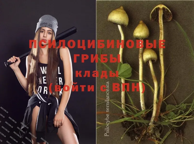 Галлюциногенные грибы MAGIC MUSHROOMS  как найти закладки  hydra вход  Малоярославец 